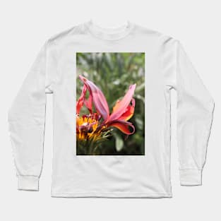 Wilting flower Long Sleeve T-Shirt